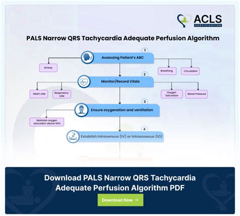 Image result for Pediatric Pals Algorithm