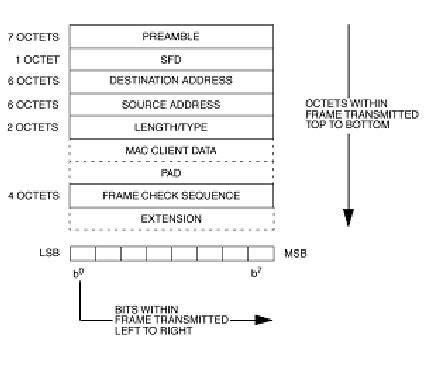 Image result for Ethernet Frame Format