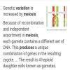 mention the role of meiosis in producing variation in organisms. write ...