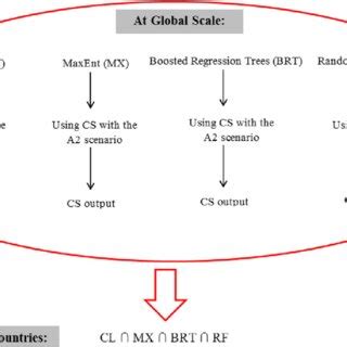 Image result for Data Processing System in Research Methodology