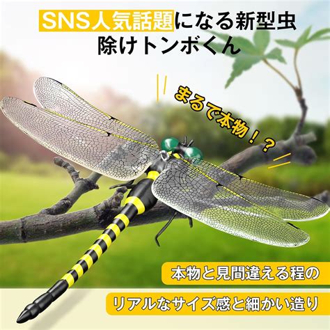 Bulonchi Insect Repellent Dragonfly, 2024, Insect India | Ubuy