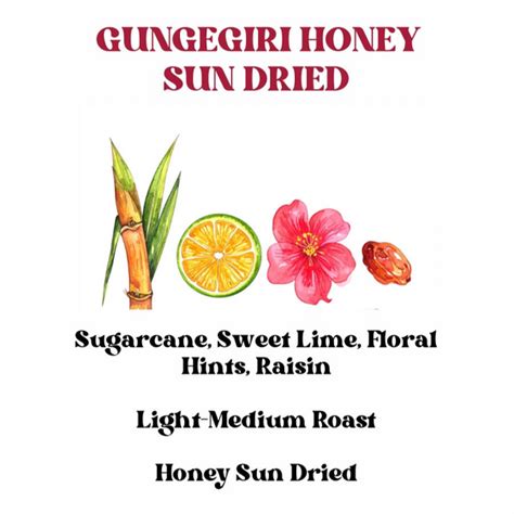 Products – ROSSETTE