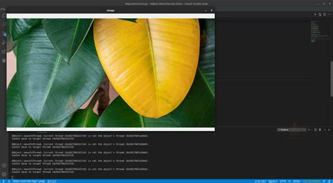 How to Make Python Detect Colors 的图像结果