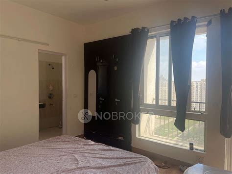 Single Room for Female in Sector 134 for Rs 9500 available Immediately ...