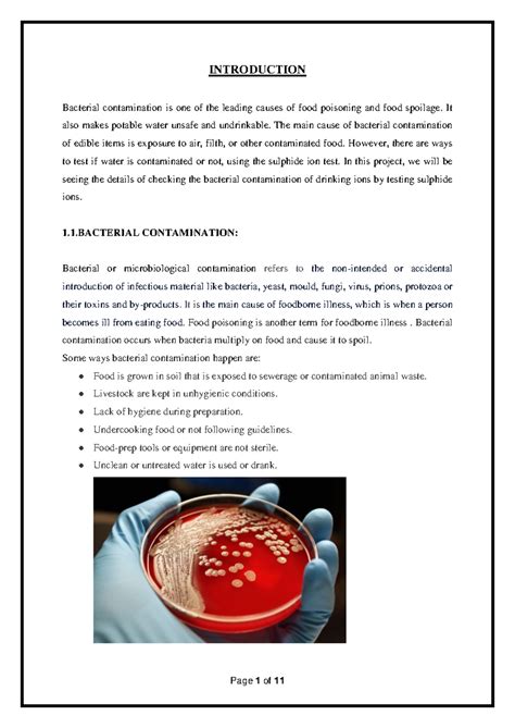 Chemistry Project on Bacterial Contamination & Sulphide Ion Test - Studocu