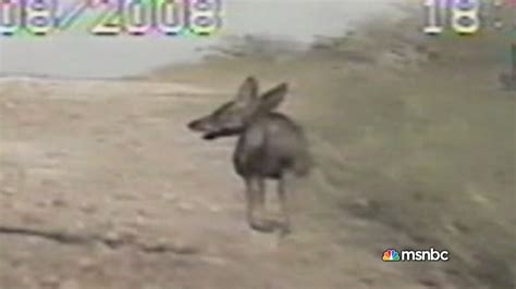 Alien On Video 的图像结果