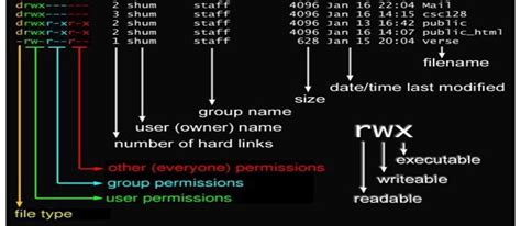 Image result for File Access Control