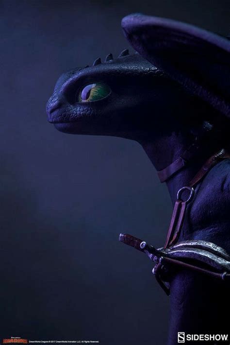 Image result for Toothless Filming