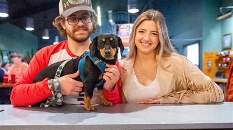 Dogs, beer and a flat tire: How Lafayette's only brewery came to be
