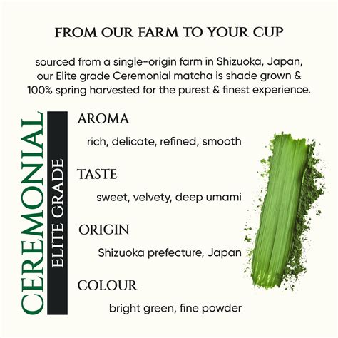 Premium Japanese Matcha Green Tea | Tencha