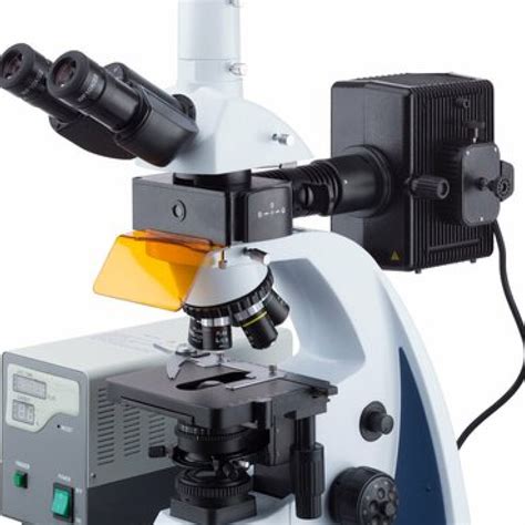 Science Items 的图像结果