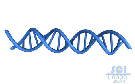 生物DNA双螺旋结构模型设计图__3D作品_3D设计_设计图库_昵图网nipic.com