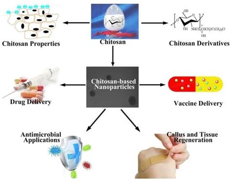 Biomedical Applications of Chitosan and Its Derivative Nanoparticles