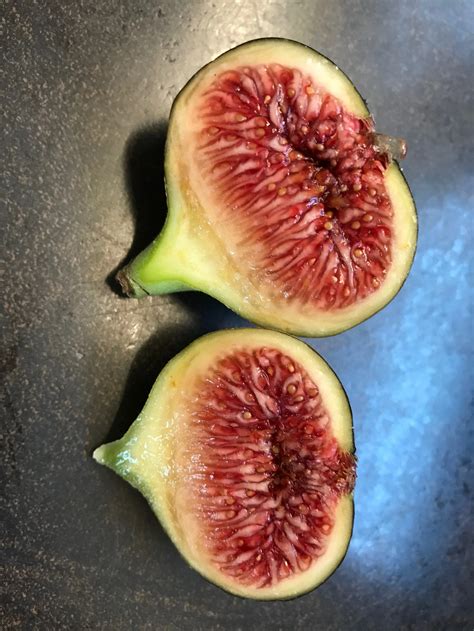 Black Madeira — french fig farm