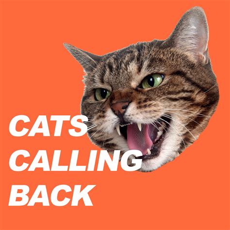 Cats Calling Back Logo_C CCB | Dampfzentrale Bern | Flickr