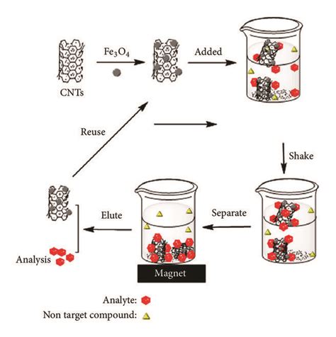 Infusion Extraction Method Procedure 的图像结果
