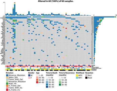 Image result for Tuutorial On Graph Andtable Making