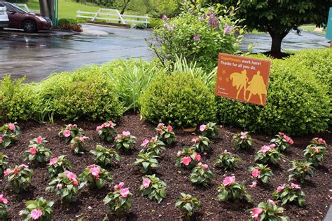 Delmar Gardens Of Meramec Valley | Skilled Nursing & Memory