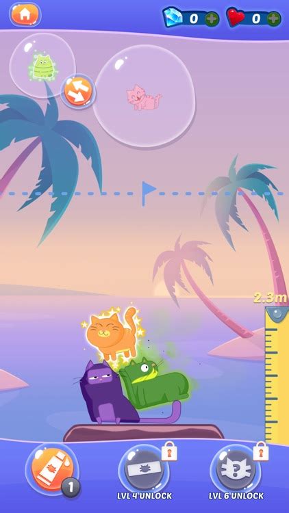 Stack Cats Challenge 的图像结果