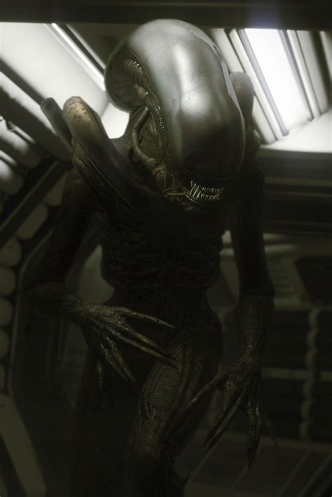 Image result for Alien Isolation PC Icon