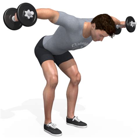 Image result for Bent Over Dumbell Flys Using Bench