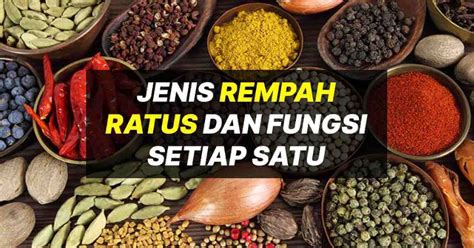 40 rempah rempah