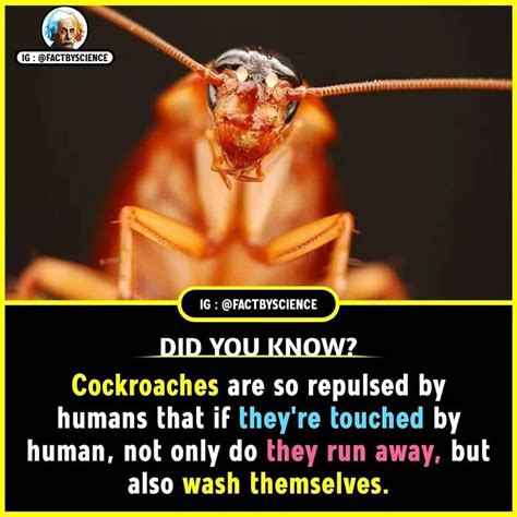 Interesting Things 的图像结果