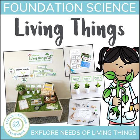 Living Things - Animals, Plants and Their Needs - Little Lifelong Learners