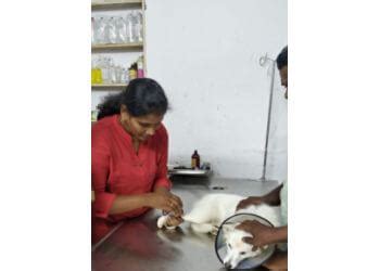 3 Best Veterinary Hospitals in Tiruppur, TN - ThreeBestRated