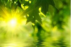 Fresh Photo Hd by Hd Desktop Images Amazing Views Green Clean Fresh Photo Hd