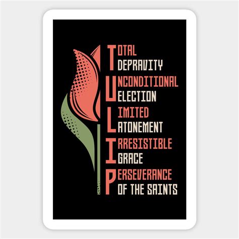 TULIP - The doctrines of grace by reformer | Calvinism, Tulips, Tulip calvinism