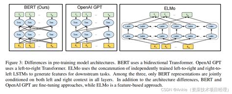 Bert GPT 的图像结果