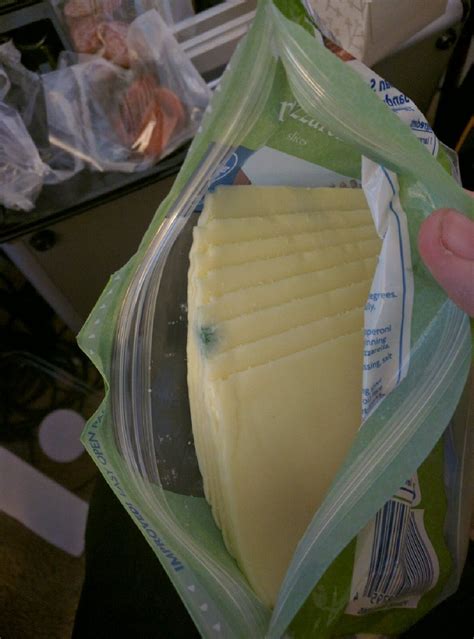 Can You Eat Moldy Mozzarella Cheese? Is It Still Safe? - KitchenBun.com