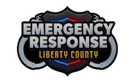 erlc 的图像结果