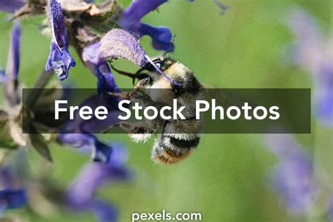 Image result for API Console Stand