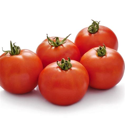 Tomato Indam 14301 – hybrid fruit, summer harvest – myBageecha
