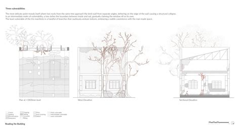 Roots and Resilience | CEPT - Portfolio