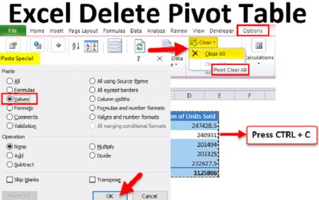 Image result for +Remove PivotTable Excel