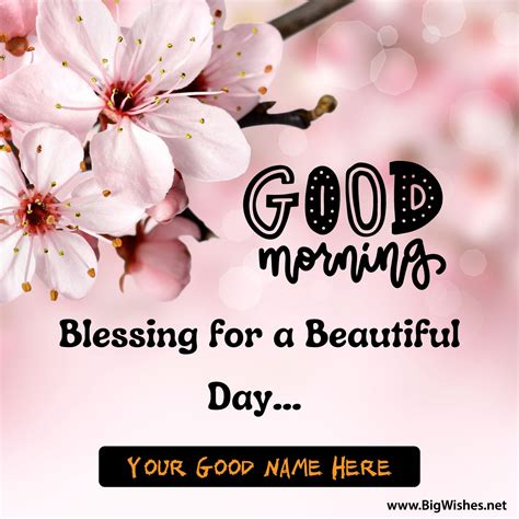 Good Morning Cards, Quotes & MSGs for Everyone