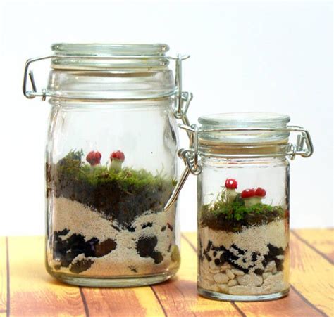 Image result for Terrarium Making111