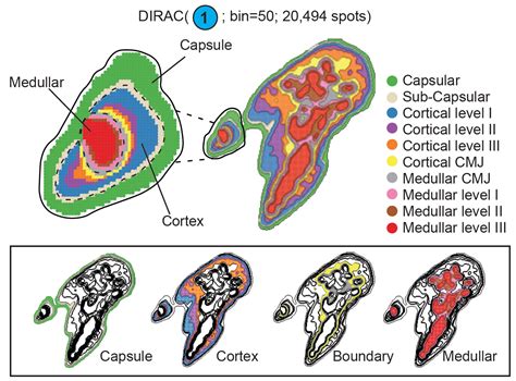 Image result for Dirac Tutorial