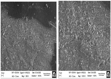 SEPERATION OF CO2 FROM NITROGEN AND OXYGEN USING HYDROPHOBIC CERAMIC ...