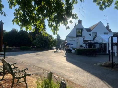 THE YEW TREE (Manuden) - Inn Reviews, Photos, Rate Comparison - Tripadvisor