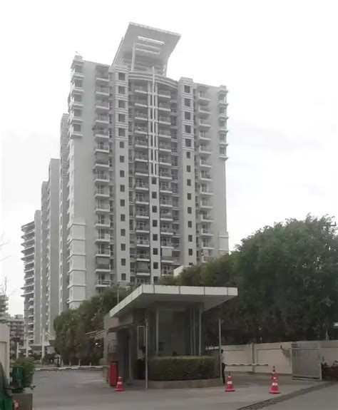 DLF The Icon in DLF Phase 5, Gurgaon, Flats for Sale in DLF Icon Sector ...