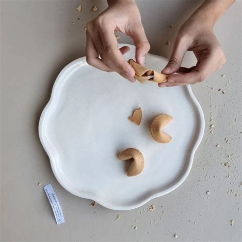 Aureole Large Plate | 11 Inches | Nude – Lagavi