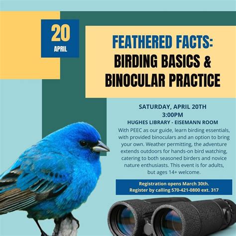 Feathered Facts: Birding Basics & Binocular Practice (for adults ...