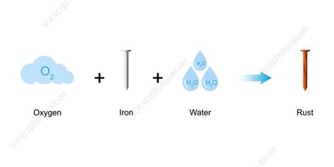 Image result for Rusting Science