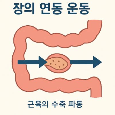 Image result for Immutable Set in Python Meaning