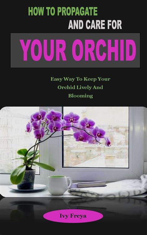 HOW TO PROPAGATE AND CARE FOR YOUR ORCHID: HOW TO PROPAGATE AND CARE ...