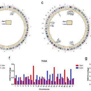 Calculation of Copy Number 的图像结果